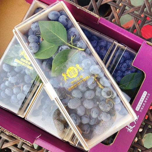 最新到货~【小糖人串莓】280g/盒，多规格，皮薄、柔嫩、汁多、味浓 商品图4