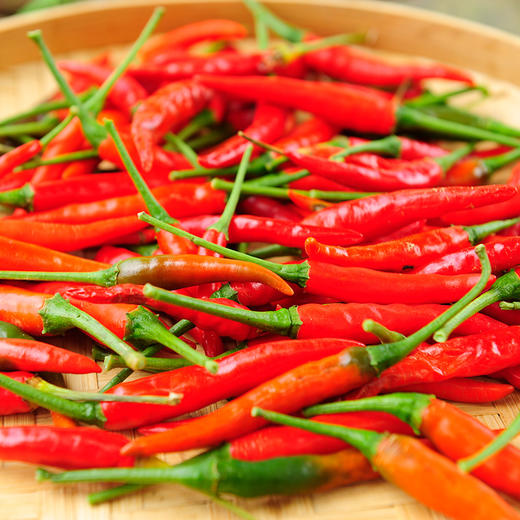 红泰椒(极辣)250g