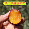 【顺丰陆运 西安仓发货】新疆·喀什 法兰西西梅精品礼盒装 新鲜当季梅子 商品缩略图6