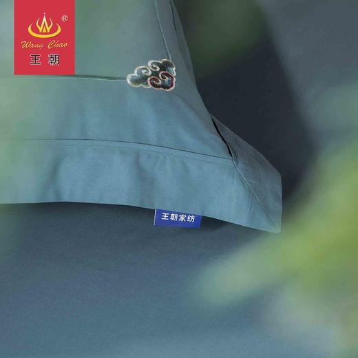 王朝家纺80长绒棉韶芳四件套 商品图1