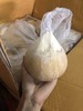 周二取货：【泰国椰皇】来自大自然的椰子水！喝完还可以吃肉肉哦！ 商品缩略图10