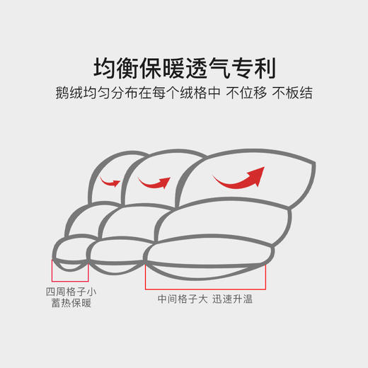 可水洗95%狮头老白鹅鹅绒春秋被安妮娅 加赠可脱卸被头 商品图4