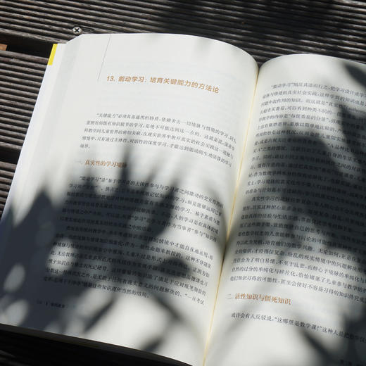 解码教育 钟启泉著 真实的学力 探究的课堂 成长的教师 商品图4