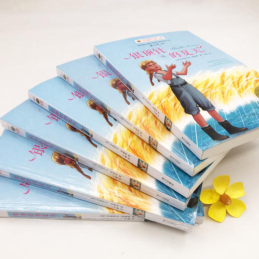 银顶针的夏天 美绘版 商品图1