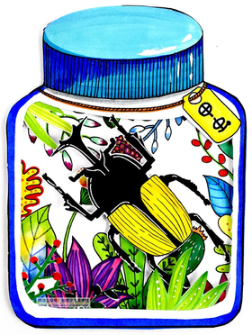 《甲壳虫》昆虫/惊蛰/昆虫【自动发货：下单后，点击手机短信中收到的链接，即可获取文件下载的链接；如有任何问题，可添加客服微信hm33268获得帮助】
