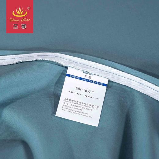 王朝家纺80长绒棉韶芳四件套 商品图2