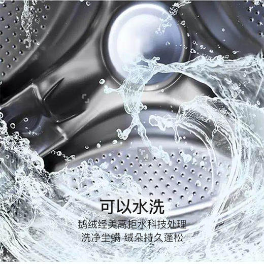 可水洗95%狮头老白鹅鹅绒春秋被安妮娅 加赠可脱卸被头 商品图2