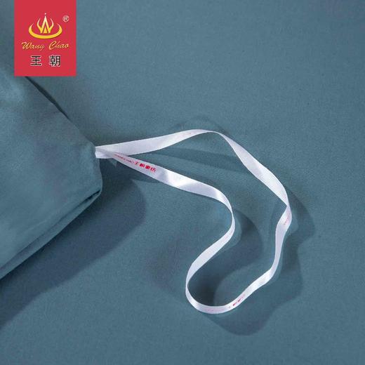 王朝家纺80长绒棉韶芳四件套 商品图3