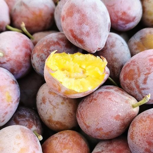 【排单发货】新疆喀什正宗法南西 小西梅 3斤/4斤（挑软的先吃） 商品图8