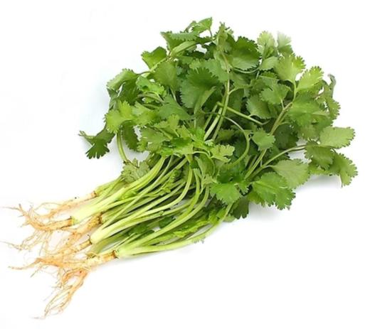 香菜 商品图0
