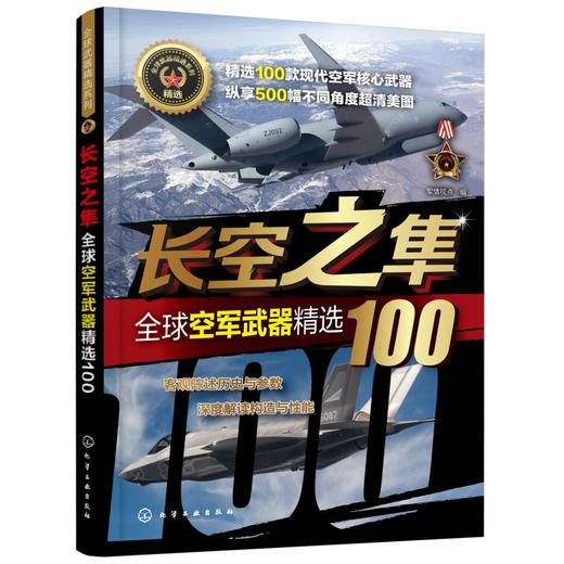 长空之隼 全球空军武器精选100 商品图0