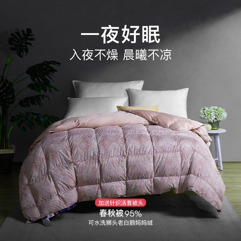 可水洗95%狮头老白鹅鹅绒春秋被安妮娅 加赠可脱卸被头