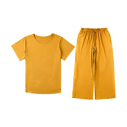 雅黛丽内衣2020夏季新品圆领睡衣女短袖长裤舒适家居服DYJ01020 商品图1
