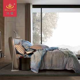 王朝家纺双面棉绒四层保暖纯棉四件套迪克森1.5米1.8m