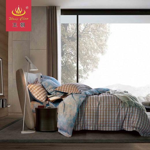 王朝家纺双面棉绒四层保暖纯棉四件套迪克森1.5米1.8m 商品图0