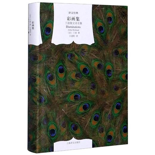 彩画集 兰波散文诗全集 商品图0