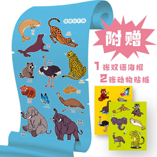 傻傻分不清（6册）科普绘本组套  创意科普 0-6岁绘本 入围国家“原动力”计划 商品图3