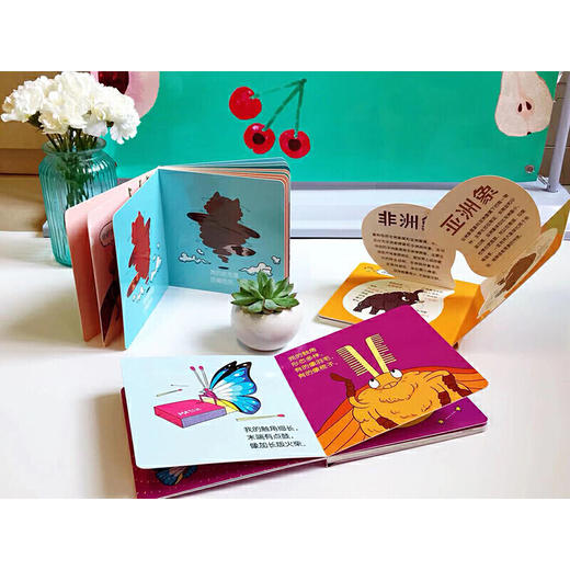 傻傻分不清（6册）科普绘本组套  创意科普 0-6岁绘本 入围国家“原动力”计划 商品图5