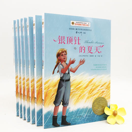 银顶针的夏天 美绘版 商品图2