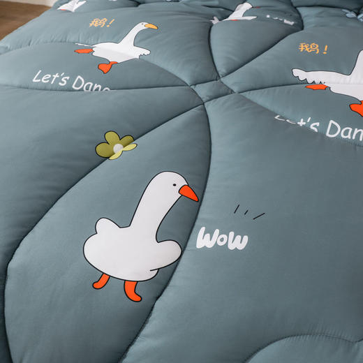 冬被加厚被子被芯棉被单双人学生宿舍被褥太空被春秋被夏季空调被 商品图2