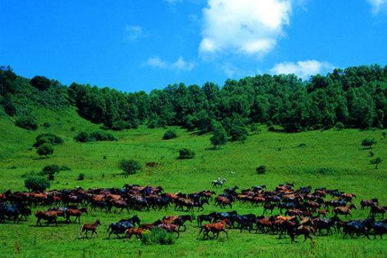 西安周邊 寶雞 關山草原純玩二日遊 騎馬 滑索 烤全羊 滑草