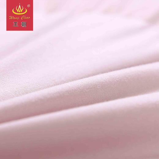 消费满3000加199送王朝灰鹅绒【联系客服下单】 商品图3