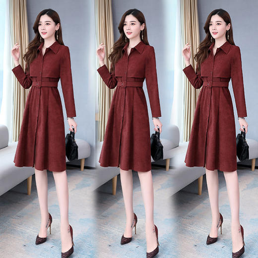 WZNH-WM66019秋新款女气质翻领优雅时尚修身显瘦连衣裙 商品图2