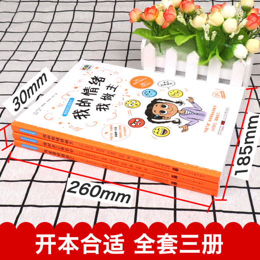 我的成长技能书（3册）我能管好我自己+我对自己有信心+我的情绪我做主-儿童情绪管理、生活技能培养、自信心培养 游戏绘本 商品图4