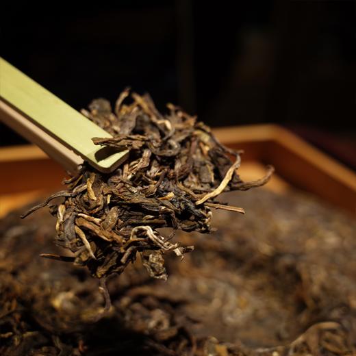 普洱生茶 云子四季 2018年 密林奇香 357g 商品图2