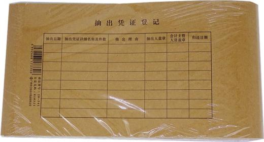 立信记账凭证封面20-541宽145mm*542mm50张1包 商品图6