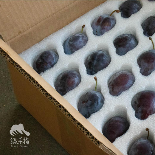 生态山西西梅（预售，8.23前后起发） | 合作生产 *Eco-prunes  | Partner Production 商品图4