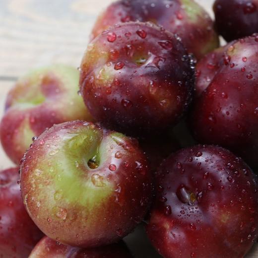 如红宝石一般～035