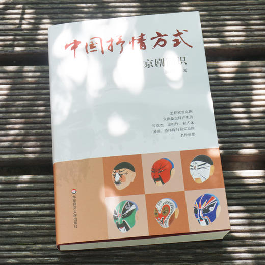中国抒情方式 京剧简识 翁思再著 京剧审美入门 京剧鉴赏 中国传统文化赏读 商品图1