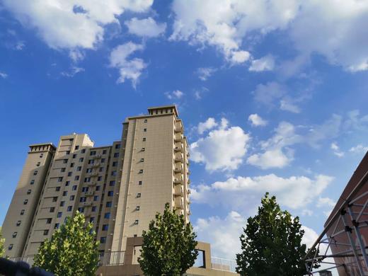 伯阳666 商品图1