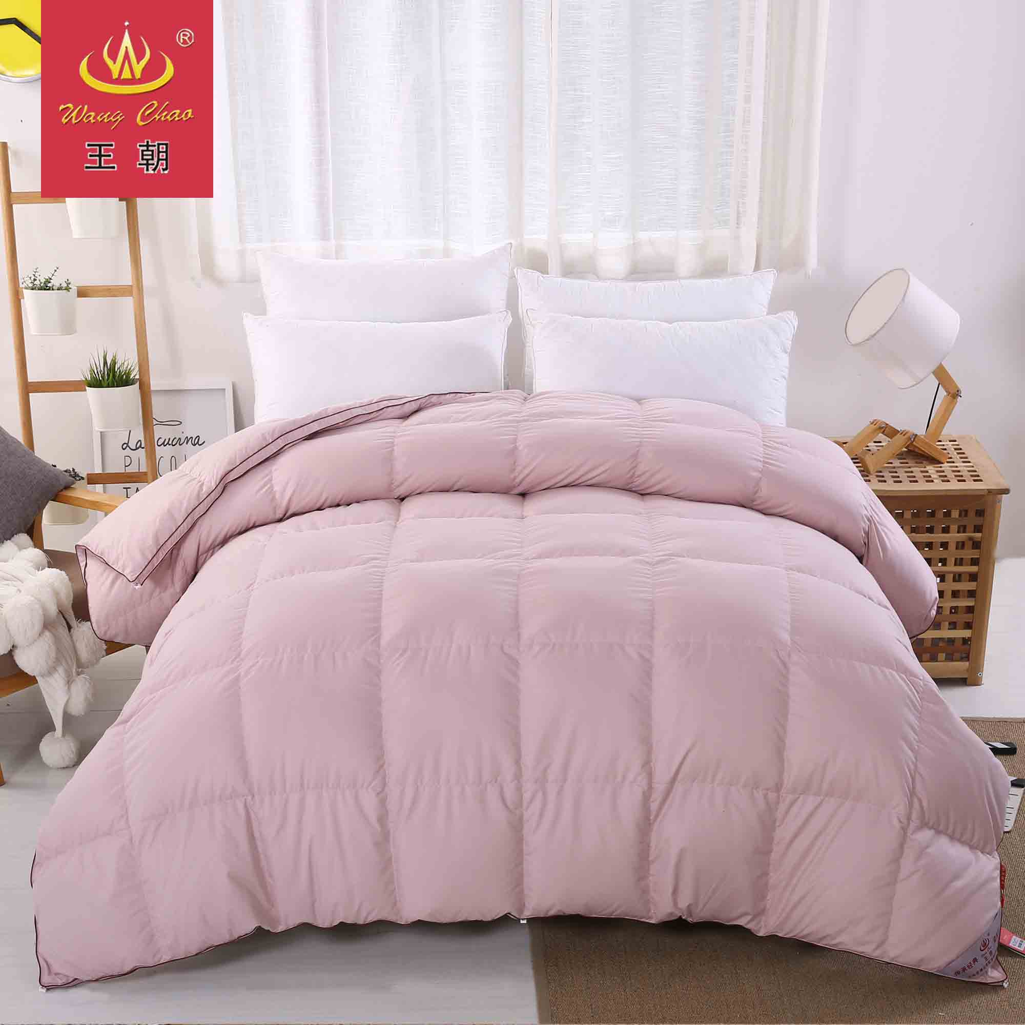 消费满3000加199送王朝灰鹅绒【联系客服下单】