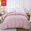 王朝60%灰鹅绒春秋被【送】超薄白鹅暖气被 商品缩略图0