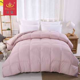 王朝60%灰鹅绒春秋被【送】超薄白鹅暖气被