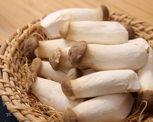 杏鲍菇(约500g -50克)