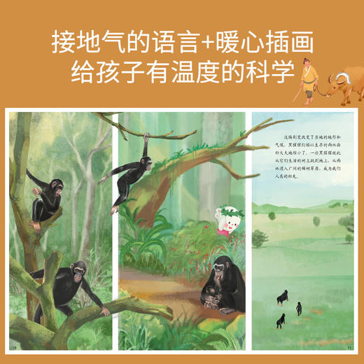 从黑猩猩到我们：超级简单的人类史百科绘本（歪歪兔童书馆出品） 商品图4
