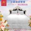王朝60%灰鹅绒春秋被【送】超薄白鹅暖气被 商品缩略图1