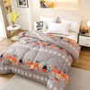 冬被加厚被子被芯棉被单双人学生宿舍被褥太空被春秋被夏季空调被 商品缩略图3