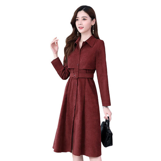 WZNH-WM66019秋新款女气质翻领优雅时尚修身显瘦连衣裙 商品图4