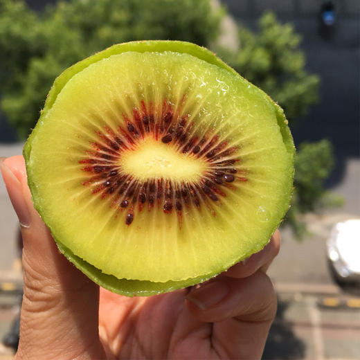 时令精品·四川浦江红颜小猕 生态种植 颗颗精选 自然