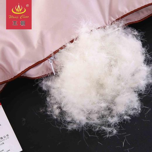 消费满3000加199送王朝灰鹅绒【联系客服下单】 商品图2