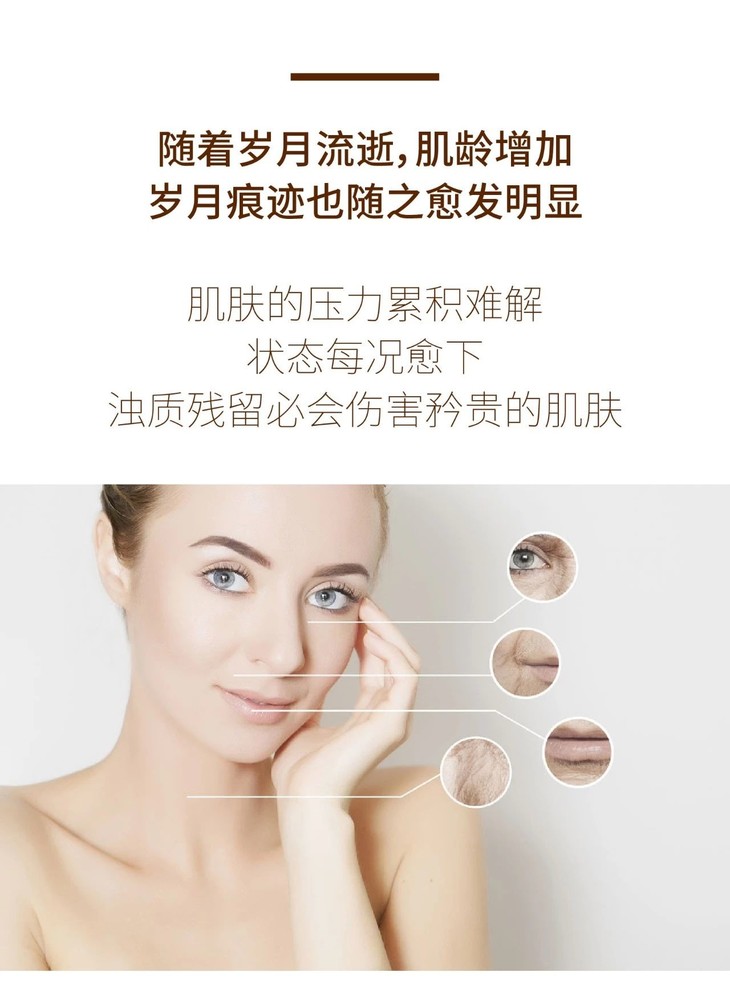 薇碧女王宝典套盒