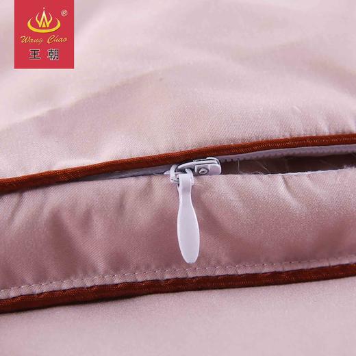 消费满3000加199送王朝灰鹅绒【联系客服下单】 商品图1