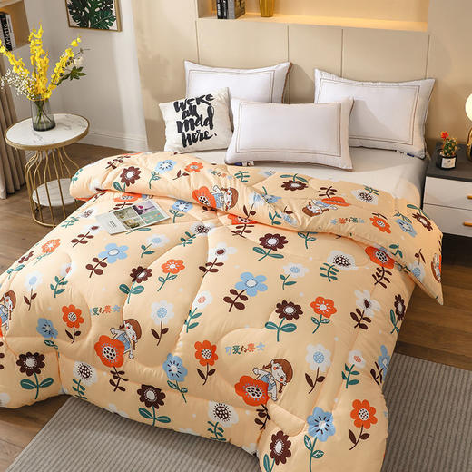 冬被加厚被子被芯棉被单双人学生宿舍被褥太空被春秋被夏季空调被 商品图4