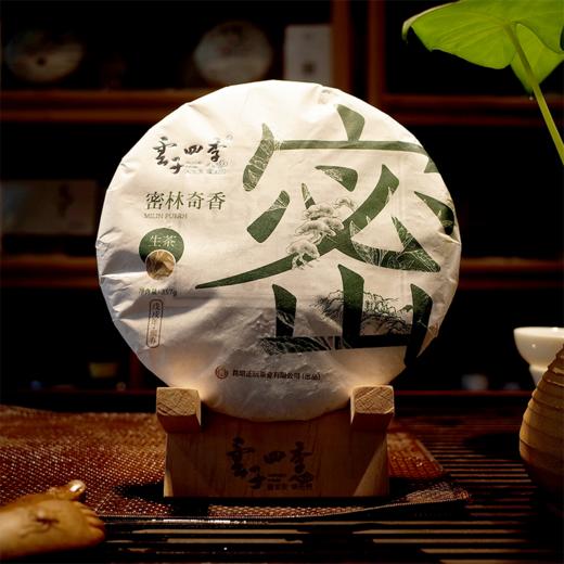 普洱生茶 云子四季 2018年 密林奇香 357g 商品图1
