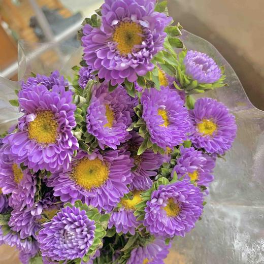 紫色小蜜菊3-5枝一扎 商品图0