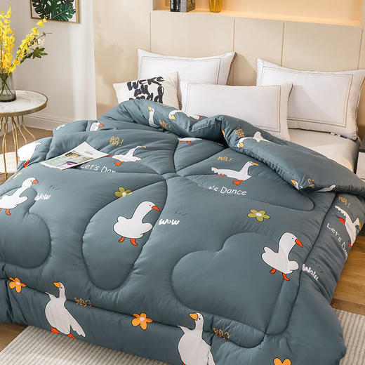 冬被加厚被子被芯棉被单双人学生宿舍被褥太空被春秋被夏季空调被 商品图0